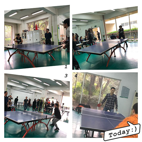 動物小伙伴拍手祝賀特殊用途動圖 動物小伙伴拍手祝賀特殊用途動圖